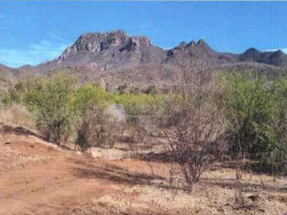 RANCHO GANADERO Y CINEGÉTICO SINDICATURA DE SAN BLAS, EL FUERTE, SIN.