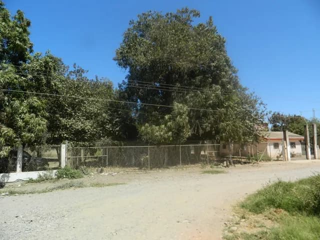 TERRENO CON CONSTRUCCION TECOMATE GUASAVE, SIN.