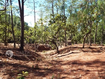 GBA_2746 | TERRENO TURÍSTICO EN SURUTATO | GARZA Bienes Raíces & Avalúos